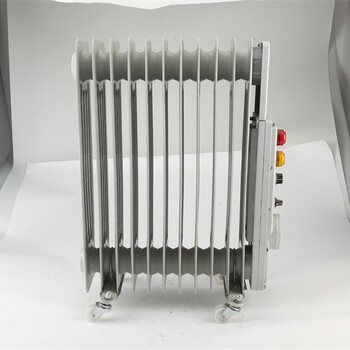 防爆取暖器防爆热油汀BDR2KW办公室取暖器电暖器化工厂