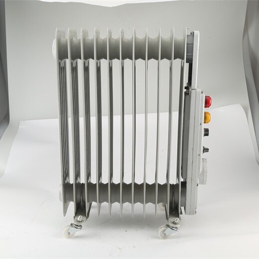 防爆取暖器防爆电加热油汀9片2000W安全可靠
