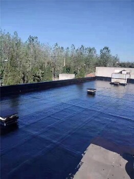 屋面防水补漏材料