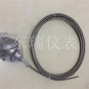 K型接觸式鎧裝熱電偶探針可彎曲熱電偶WRNK-131探熱針甘肅