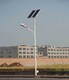 呼伦贝尔承接加元村委会太阳能路灯价格图
