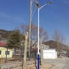 乌兰察布承接加元村委会太阳能路灯规格,村路灯维修