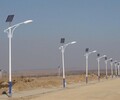 加元LED路灯,巴彦淖尔供应加元村委会太阳能路灯功能