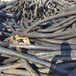 丹东电缆回收,带皮电缆回收多少钱一吨(米)丹东电力电缆回收公司