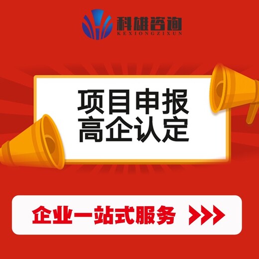 湛江高企认证需要什么条件,广州高新技术企业认定