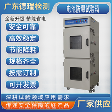 广东德瑞检测锂电池防爆高低温试验箱