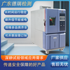 廣東德瑞DR-G203-100小型低溫恒溫恒濕高低溫環境試驗箱