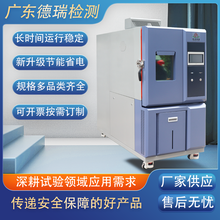 广东德瑞DR-G203-100小型低温恒温恒湿高低温环境试验箱