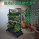 阳泉阳台多功能绿植系统绿植墙产品图