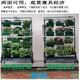 秦皇岛阳台可移动绿植系统报价及图片产品图