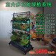 衡水阳台多功能绿植系统报价产品图