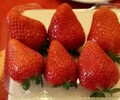 雞西妙香三號草莓苗基地,天仙醉草莓苗