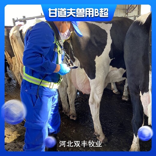 甘道夫母牛测孕仪,贵州新款无线牛用B超机GDF-C70
