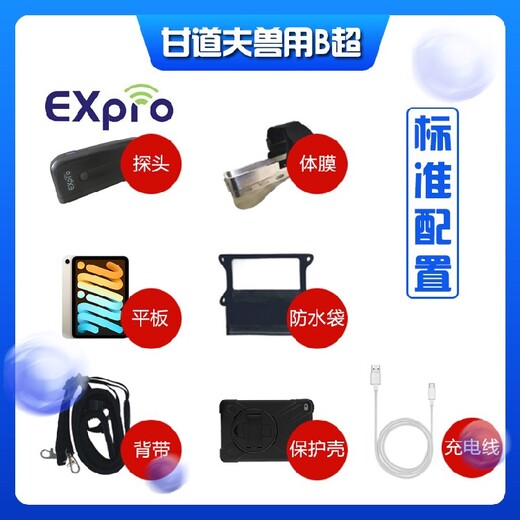 香港高清背膘仪EXPRO,背膘眼肌测定仪
