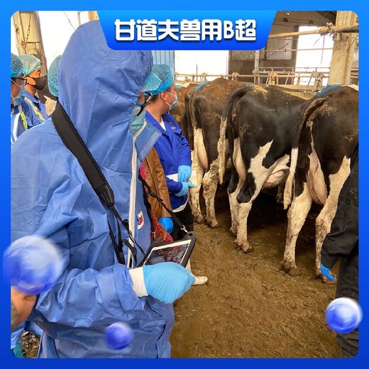 重庆多功能无线牛用B超机GDF-C70,母牛测孕仪