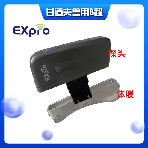 宁夏无线背膘仪EXPRO,背膘眼肌测定仪