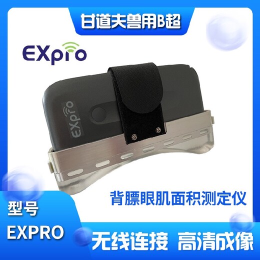 广东高清背膘仪EXPRO,进口背膘仪
