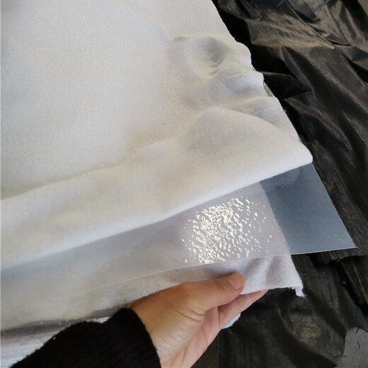 绍兴市的两布一膜报价700克，两布一膜防渗土工布