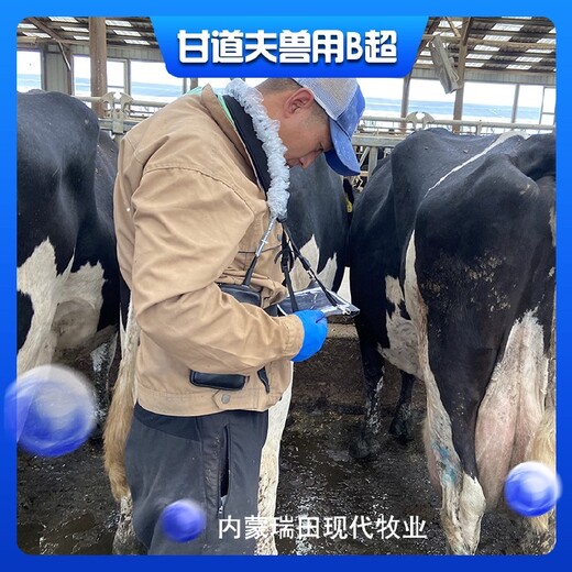 香港全新无线牛用B超机GDF-C70,母牛测孕仪