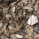 泉州从事银纤维碎布回收图
