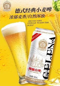 精酿白啤酒哥乐娜原浆白啤酒报价