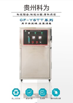 CF-YSTT-20A氧气源臭氧发生器多少钱一台