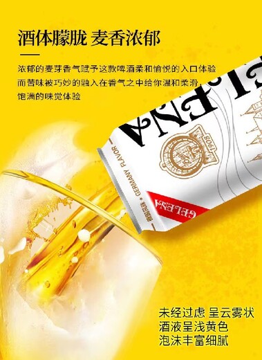 精酿白啤酒春节礼盒哥乐娜原浆啤酒哥乐娜原浆白啤酒厂家