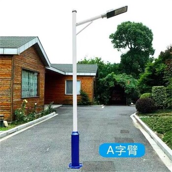 11米路燈30瓦光源高亮度燈具