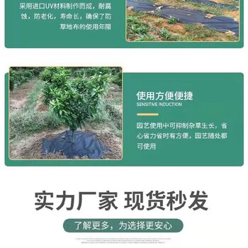 福建销售园艺防草布尺寸,耐使用防草布