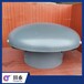  Chongqing Industrial Vent Cap Specification