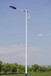 6米7米8米單臂路燈現貨多少錢,泉州9米路燈