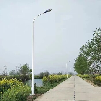 温州乐清市路灯杆生产厂家LED道路路灯多少钱含预埋件