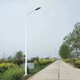 黔江9米路灯图