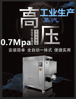 商用蒸汽發(fā)生器智沐冷凝變頻蒸汽機(jī)組合肥