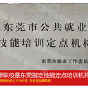 東莞萬江電腦培訓(xùn)excel數(shù)據(jù)函數(shù)操作培訓(xùn)