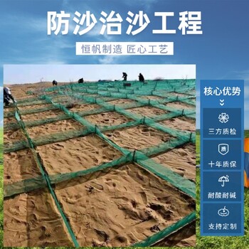 沙漠里防沙网施工方法恒帆沙化治理阻沙网蜂窝网绿色20cm