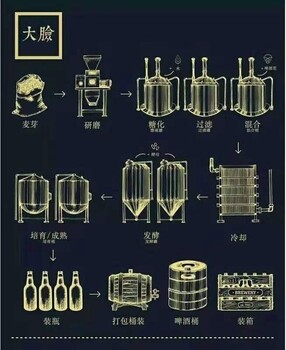 设备制造啤酒小精酿啤酒设备厂设备