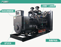 广西厂家供应上柴220KW柴油发电机组全铜无刷发电机6DTAA8.9-G33图片3