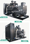 广西厂家供应上柴220KW柴油发电机组全铜无刷发电机6DTAA8.9-G33图片4