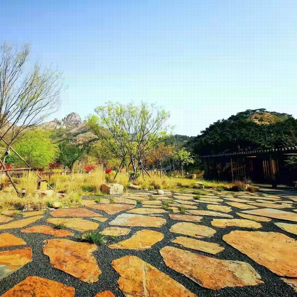 銹板.jpg