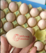 新款智能鸡蛋自动喷码机整盘鸡蛋打码机油墨清晰包售后