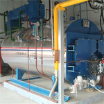 天然气蒸汽锅炉水泥预制件蒸汽锅炉蒸汽锅炉