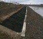绿化护坡生态毯边坡防护双面凹凸聚酰胺三维水土保护毯