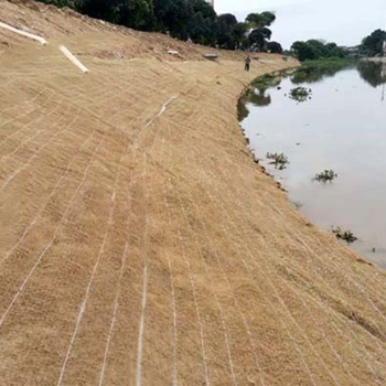 生态草毯高边坡绿化河堤治理抗冲生物毯椰丝毯矿山绿化