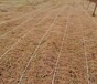 植草毯边坡绿化矿山绿化煤矿生态修复生态植被毯植生毯