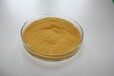 梧州市水處理藥劑除磷脫磷劑黃色粉末