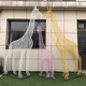 圖片_20200424190637.jpg