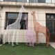 圖片_20200424190640.jpg
