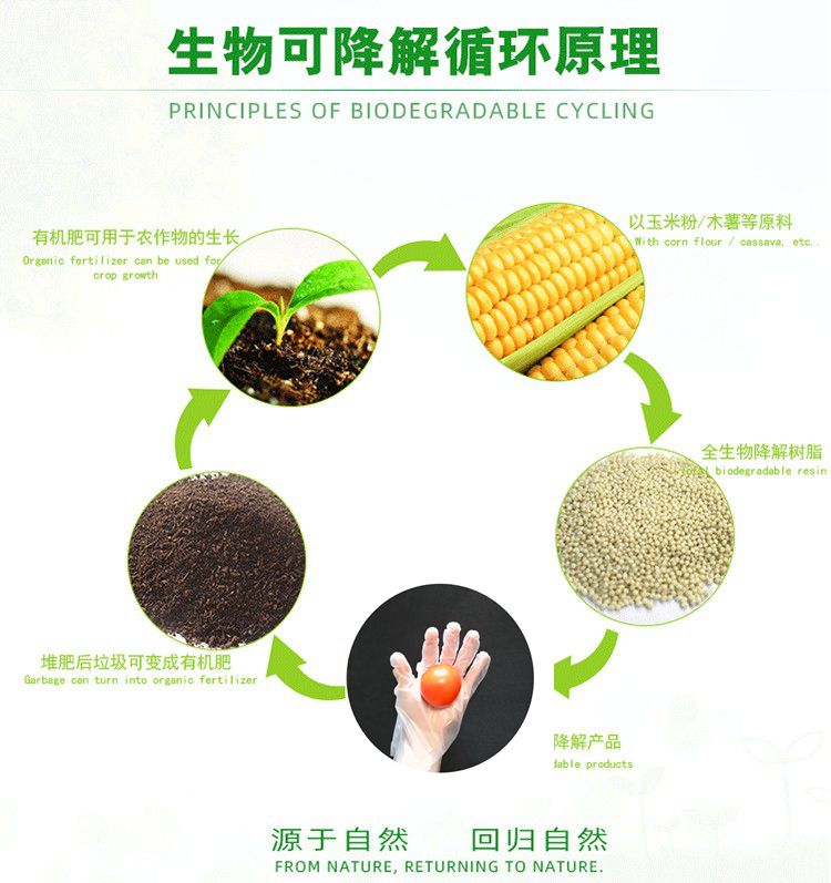 降解原理圖.jpg