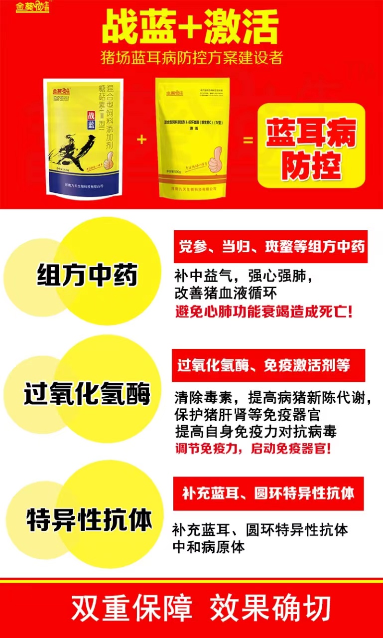 战蓝.jpg